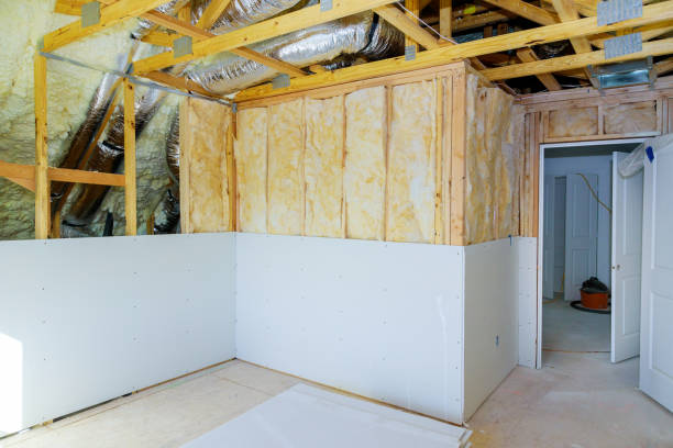 Eco-Friendly Insulation Solutions in Verona Walk, FL